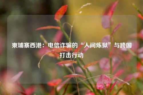 柬埔寨西港：电信诈骗的“人间炼狱”与跨国打击行动